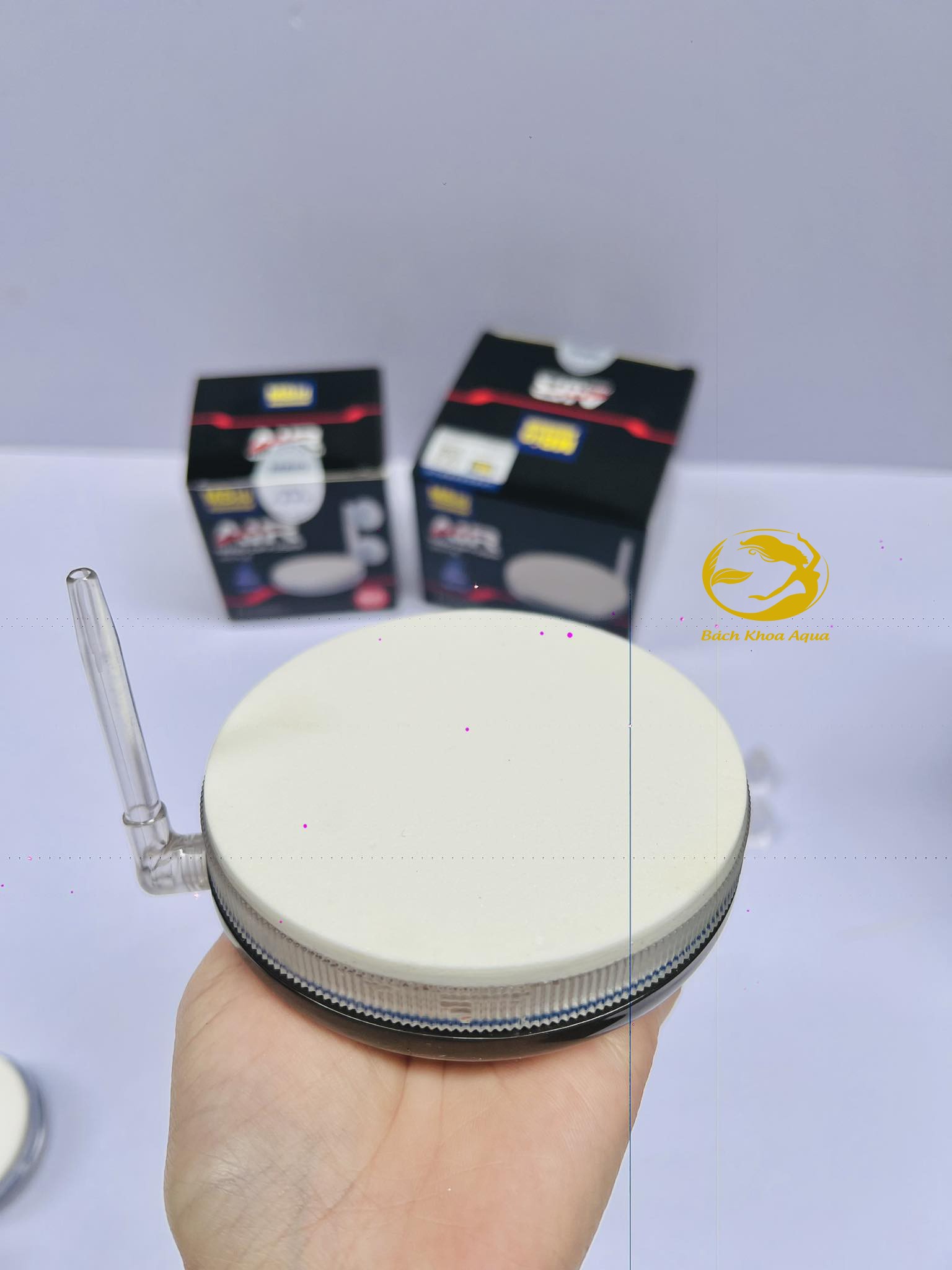 Đĩa sủi Oxy siêu mịn MBio 6cm - 10cm cho bể cá cảnh thủy sinh